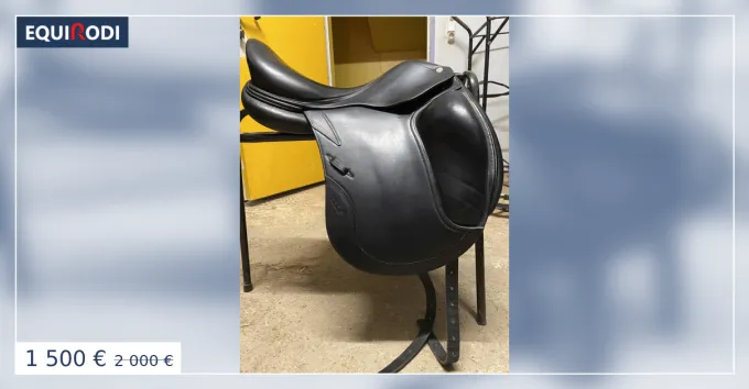 Offre Limite Selle de dressage CWD
