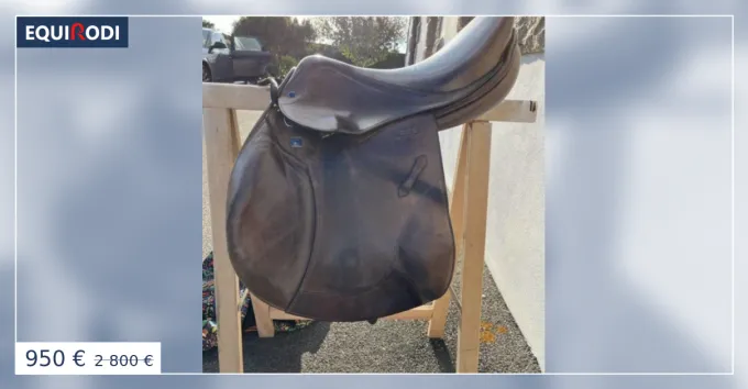 Marque Selle stubben