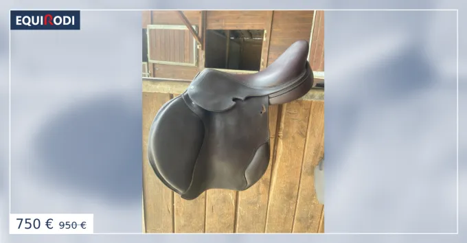 Selle AGM 17"5 pouces Livraison Express