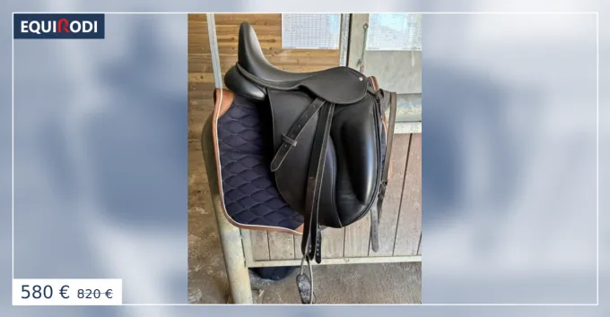 Meilleur Prix Lexys dressage taille 15 qui taille grand -