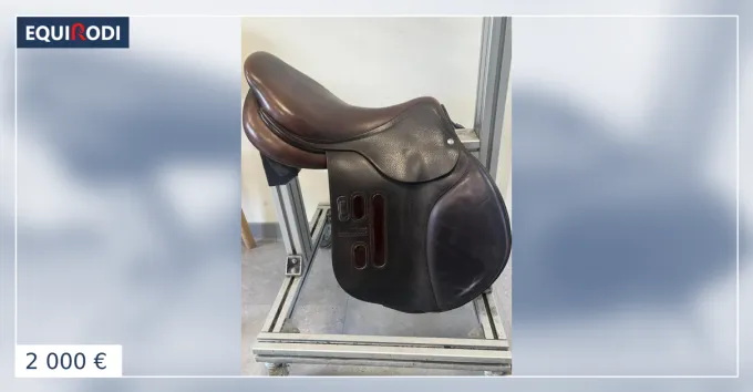 Haute Qualit Selle GBS