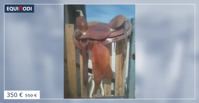 Affaire Saisir Selle western