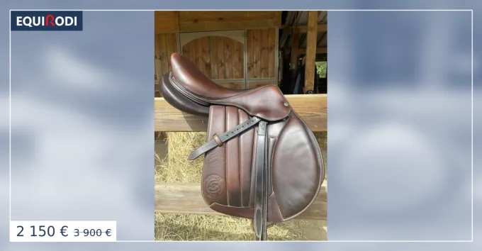Selle Forestier seoul Promotion Saisonnire