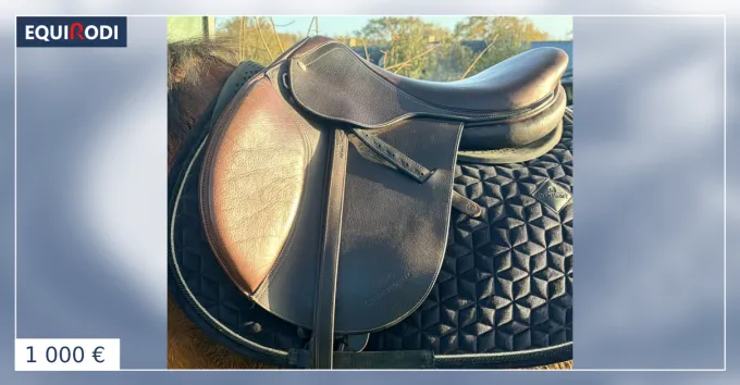Marque Selle dquitation Colbert brother