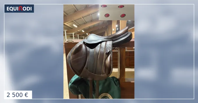 Promotion Selle forestier boekelo monoquartier