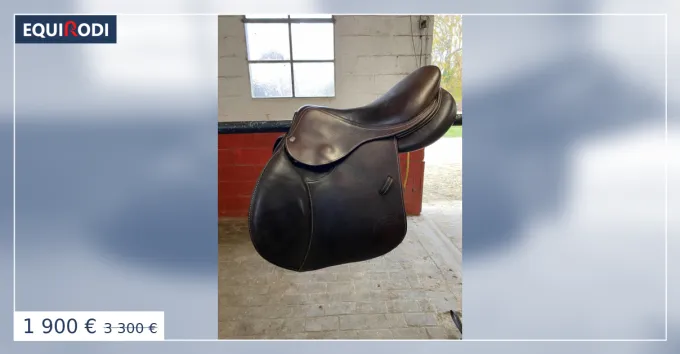 Selle Forestier 16,5 2020 Populaire