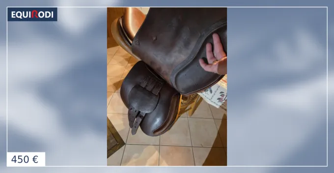 Selle mixte Expdi Aujourdhui