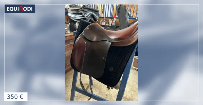 Meilleur Choix Dressage Cobra 17,5