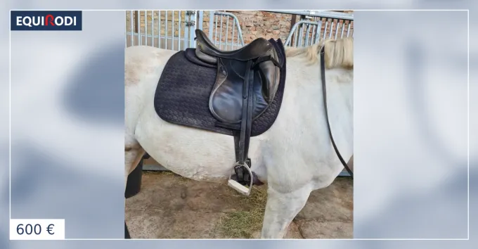 Selle dressage belloir Dernier Modle