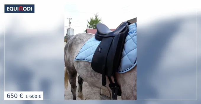 Dernier Modle Selle dressage ZALDI