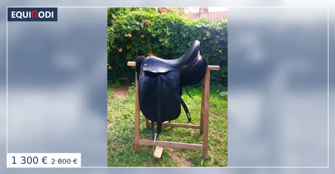 Affaire Saisir Selle de dressage