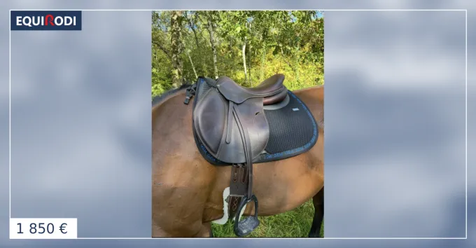 Populaire Selle Antares connexion 17,5 2019