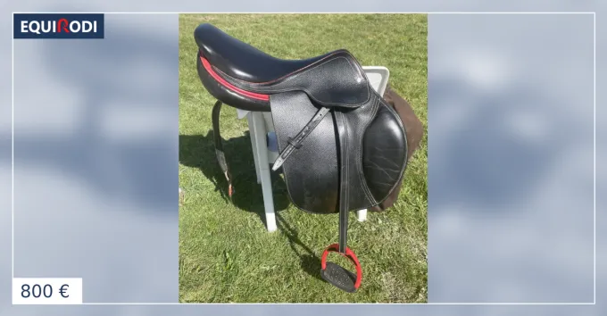 Selle mixte - obstacles Top Vente