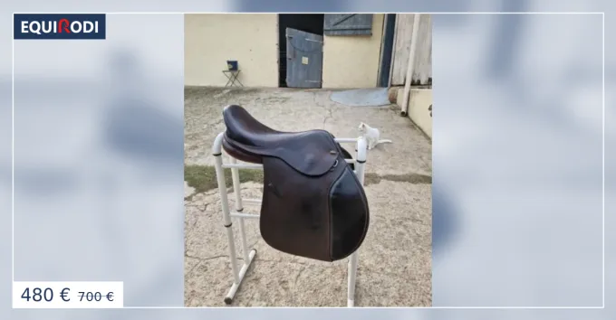 Populaire Selle Eric Thomas