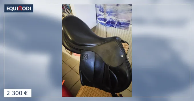Prix Choc Selle CHILDERIC