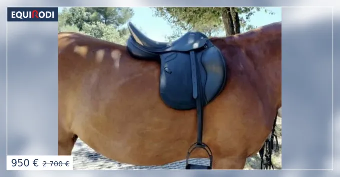Achetez Aujourdhui Selle PRESTIGE