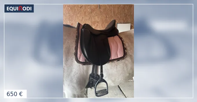 Selle de dressage Must-Have