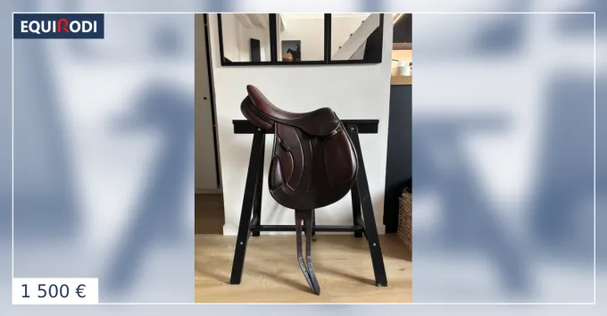 Meilleur Choix Monoquartier Antares 18