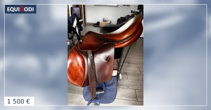 Offre Limite Selle butet semi plate