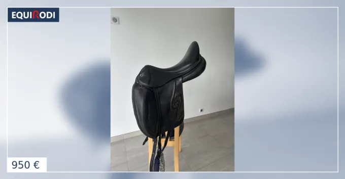 Selle de dressage Offre Limite