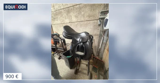 Meilleur Choix Selle mixte pessoa
