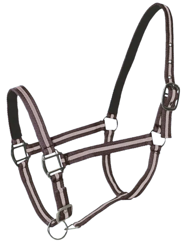 Petit Prix Licol doubl cuir cheval choco beige PASSIONAL