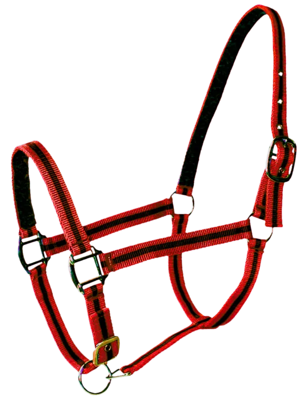Top Vente Licol doubl cuir poney rouge noir PASSIONAL