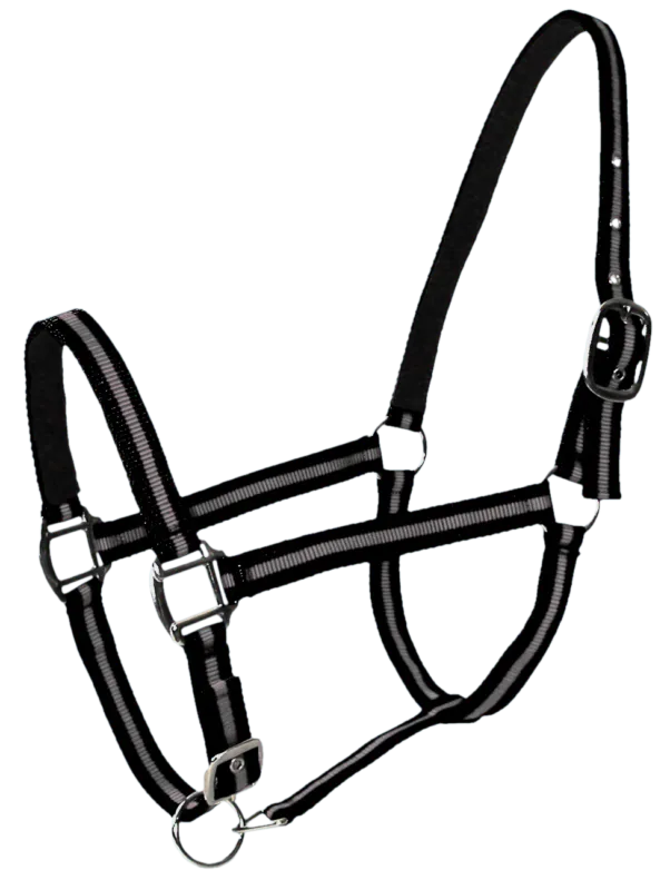 Quantit Limite Licol doubl cuir poney noir gris PASSIONAL