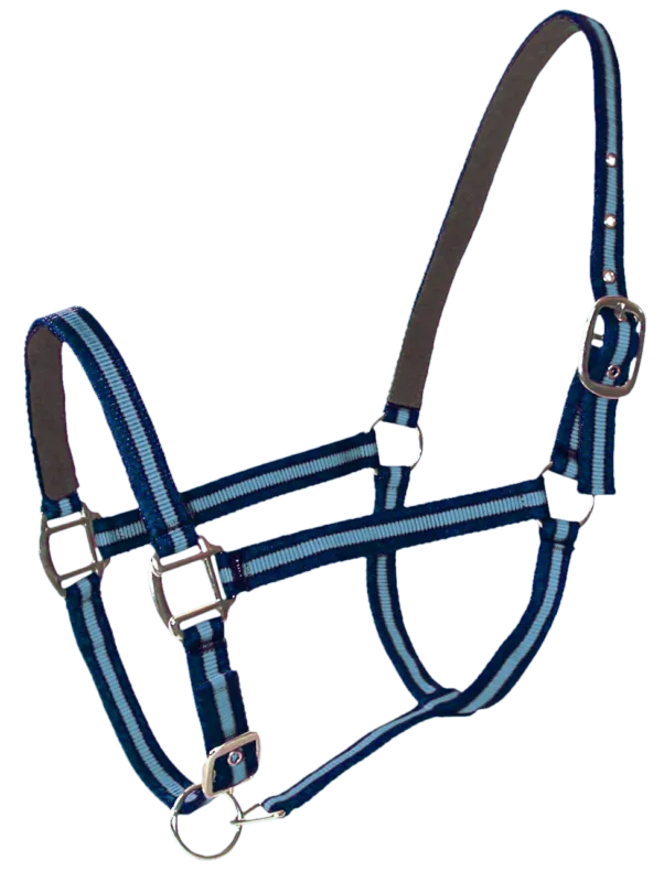 Licol doubl cuir poney navy ciel PASSIONAL Expdition Rapide