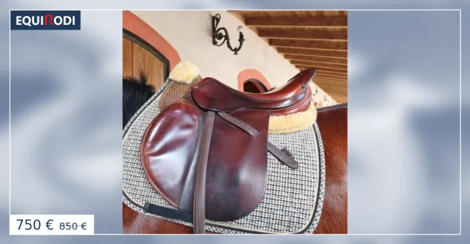 Selle forestier Pas Cher