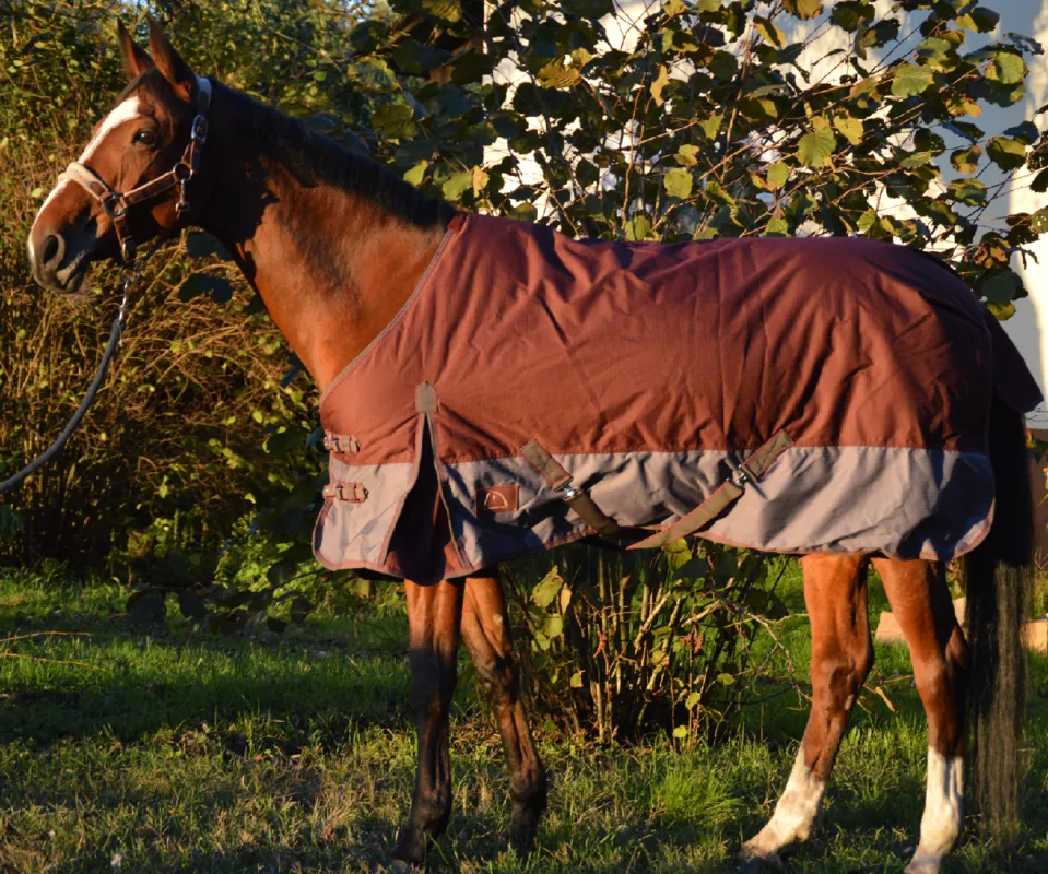Couverture d&rsquo;hiver 155 cm PASSIONAL Commander Maintenant