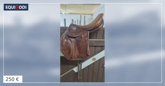 Selle saumur 17,5 Livraison Gratuite