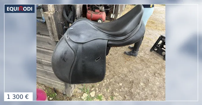 Achetez Aujourdhui Selle ikonic mixte servie 1 an