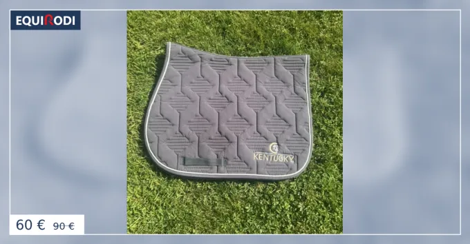 Paiement Scuris Tapis Kentucky gris
