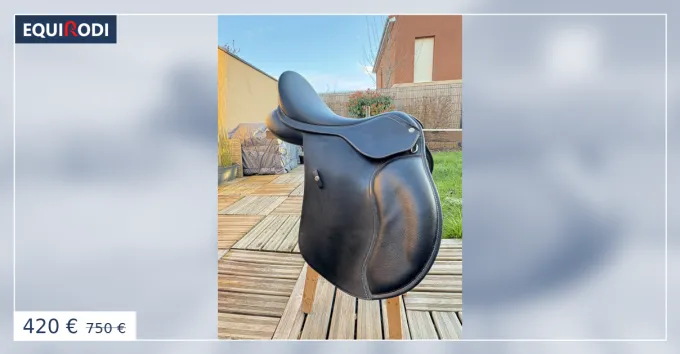 Selle wintec vendre Vente Directe