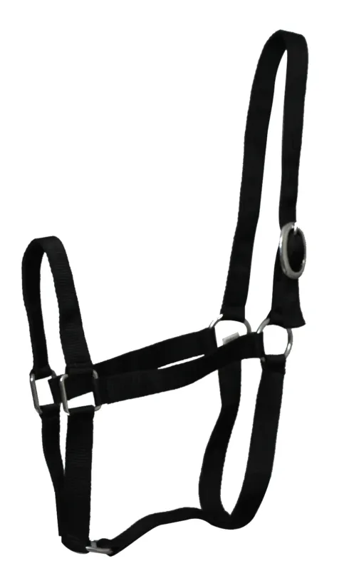 Offre Limite Licol Eco nylon Noir Poney