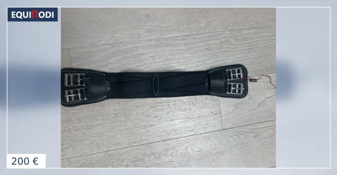 Sangle cheval dressage CWD 60 neuve noire Nouveaut
