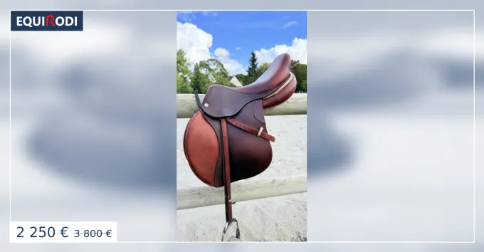 Authentique Selle CWD SE02, taille 17,5