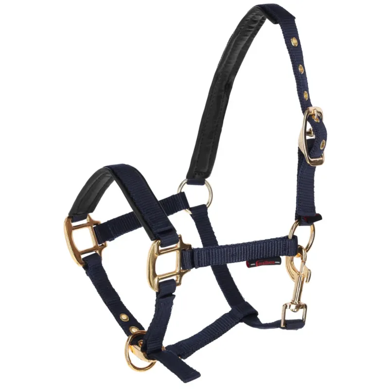 Licol poulain TopLine bleu navy Prix Rduit