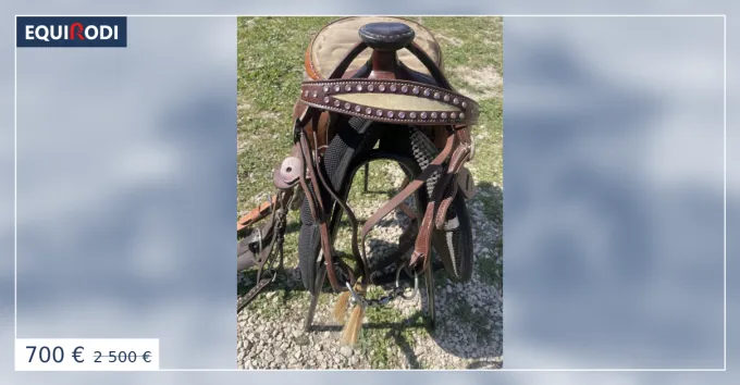 Selle western + accessoire Vente Directe