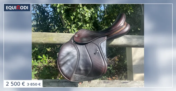 Dernier Modle Selle d'obstacle Equiline Nick Skelton