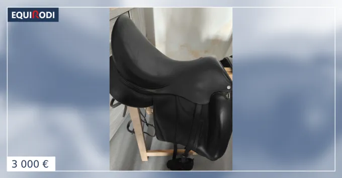 Acheter Direct Selle Aachen Forestier