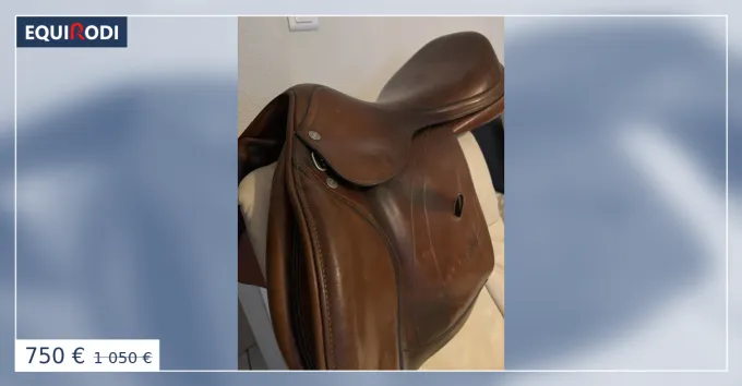 Selle QUIPE 17,5 Seulement Aujourdhui