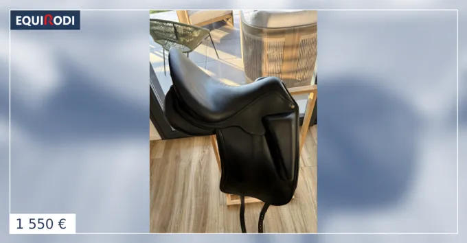Commande En Gros Selle Aulion 16