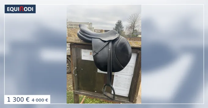 Meilleur Choix Selle se02