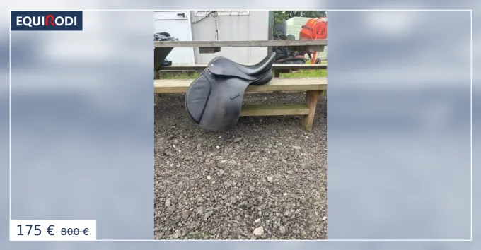 Must-Have Selle vendre