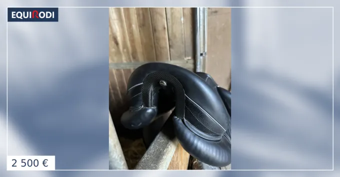 Produit De Marque Selle de dressage Devoucoux
