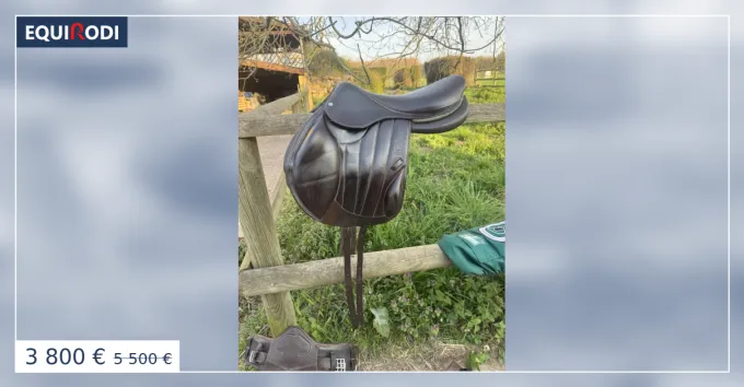 Selle Forestier Boekelo Top Vente