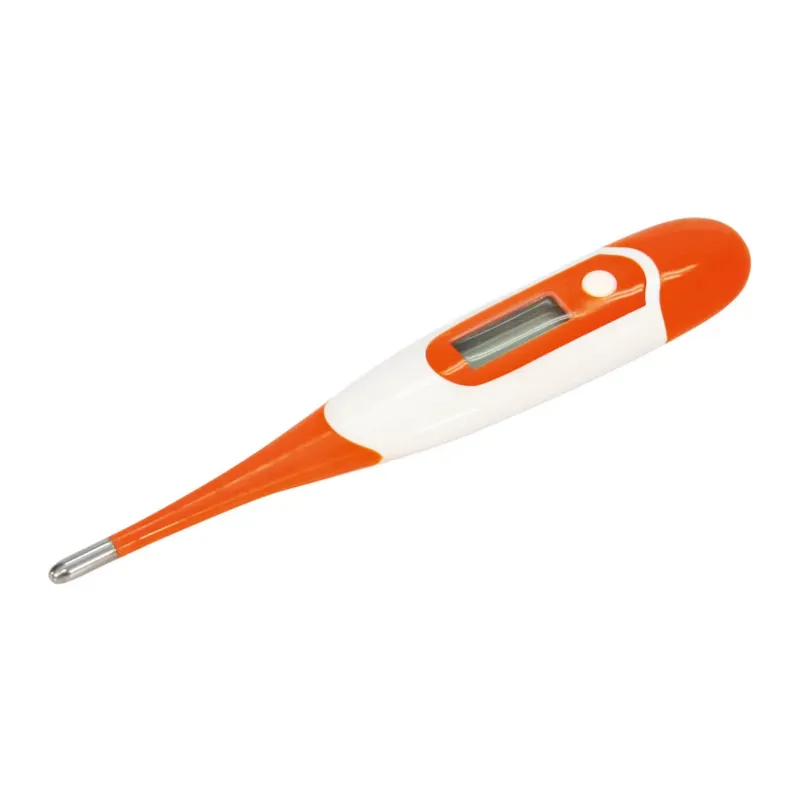 Thermomtre numrique avec sonde flexible Prix Choc