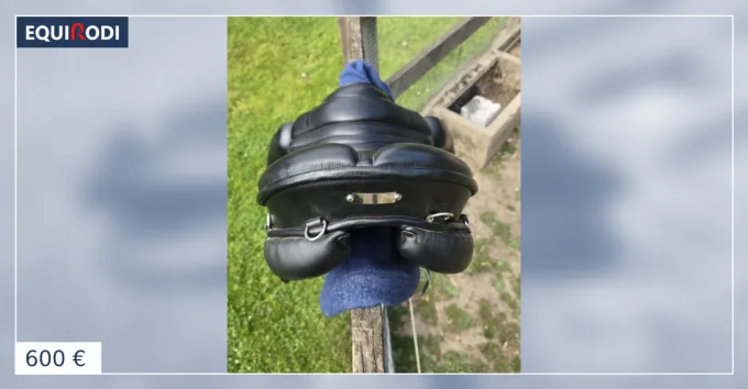 Selle zaldi royal police Certifi